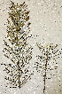  ( - PR692)  @11 [ ] No Rights Reserved  Unspecified Unspecified