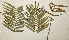  ( - PR693)  @11 [ ] No Rights Reserved  Unspecified Unspecified