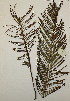  ( - PR716)  @11 [ ] No Rights Reserved  Unspecified Unspecified