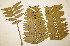  ( - PR727)  @11 [ ] No Rights Reserved  Unspecified Unspecified