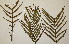  ( - PR734)  @11 [ ] No Rights Reserved  Unspecified Unspecified