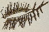  ( - PR749)  @11 [ ] No Rights Reserved  Unspecified Unspecified