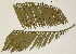  ( - PR767)  @11 [ ] No Rights Reserved  Unspecified Unspecified