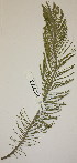  ( - PR773)  @11 [ ] No Rights Reserved  Unspecified Unspecified