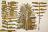  ( - PR797)  @11 [ ] No Rights Reserved  Unspecified Unspecified