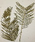  ( - PR798)  @11 [ ] No Rights Reserved  Unspecified Unspecified