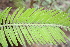  ( - PR804)  @11 [ ] Unspecified (default): All Rights Reserved  Unspecified Unspecified