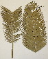  ( - PR807)  @11 [ ] No Rights Reserved  Unspecified Unspecified