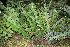  ( - PR815)  @11 [ ] Unspecified (default): All Rights Reserved  Unspecified Unspecified