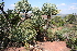  ( - PR827)  @11 [ ] Unspecified (default): All Rights Reserved  Unspecified Unspecified