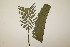  ( - PR845)  @11 [ ] No Rights Reserved  Unspecified Unspecified