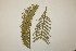  ( - PR846)  @11 [ ] No Rights Reserved  Unspecified Unspecified