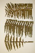  ( - PR849)  @11 [ ] No Rights Reserved  Unspecified Unspecified
