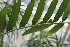  ( - PR656)  @11 [ ] Unspecified (default): All Rights Reserved  Unspecified Unspecified