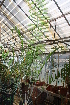  ( - PR656)  @11 [ ] Unspecified (default): All Rights Reserved  Unspecified Unspecified