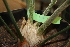  ( - PR659)  @11 [ ] Unspecified (default): All Rights Reserved  Unspecified Unspecified
