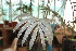  ( - PR659)  @11 [ ] Unspecified (default): All Rights Reserved  Unspecified Unspecified