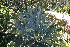  ( - PR661)  @11 [ ] Unspecified (default): All Rights Reserved  Unspecified Unspecified