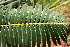  ( - PR665)  @11 [ ] Unspecified (default): All Rights Reserved  Unspecified Unspecified