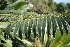  ( - PR665)  @11 [ ] Unspecified (default): All Rights Reserved  Unspecified Unspecified