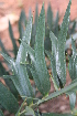 ( - PR666)  @11 [ ] Unspecified (default): All Rights Reserved  Unspecified Unspecified
