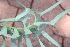  ( - PR666)  @11 [ ] Unspecified (default): All Rights Reserved  Unspecified Unspecified