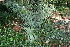  ( - PR670)  @11 [ ] Unspecified (default): All Rights Reserved  Unspecified Unspecified