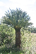 ( - PR685)  @11 [ ] Unspecified (default): All Rights Reserved  Unspecified Unspecified