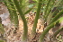  ( - PR688)  @11 [ ] Unspecified (default): All Rights Reserved  Unspecified Unspecified