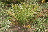  ( - PR688)  @11 [ ] Unspecified (default): All Rights Reserved  Unspecified Unspecified