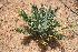  ( - PR690)  @11 [ ] Unspecified (default): All Rights Reserved  Unspecified Unspecified