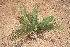  ( - PR691)  @11 [ ] Unspecified (default): All Rights Reserved  Unspecified Unspecified