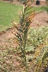  ( - PR692)  @11 [ ] Unspecified (default): All Rights Reserved  Unspecified Unspecified