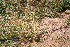  ( - PR692)  @11 [ ] Unspecified (default): All Rights Reserved  Unspecified Unspecified