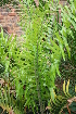  ( - PR693)  @11 [ ] Unspecified (default): All Rights Reserved  Unspecified Unspecified