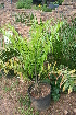  ( - PR693)  @11 [ ] Unspecified (default): All Rights Reserved  Unspecified Unspecified