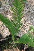  ( - PR700)  @11 [ ] Unspecified (default): All Rights Reserved  Unspecified Unspecified