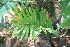  ( - PR700)  @11 [ ] Unspecified (default): All Rights Reserved  Unspecified Unspecified