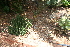  ( - PR716)  @11 [ ] Unspecified (default): All Rights Reserved  Unspecified Unspecified