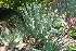  ( - PR726)  @11 [ ] Unspecified (default): All Rights Reserved  Unspecified Unspecified