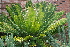  ( - PR727)  @11 [ ] Unspecified (default): All Rights Reserved  Unspecified Unspecified