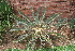  ( - PR730)  @11 [ ] Unspecified (default): All Rights Reserved  Unspecified Unspecified