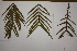  ( - PR734)  @11 [ ] Unspecified (default): All Rights Reserved  Unspecified Unspecified