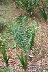 ( - PR740)  @11 [ ] Unspecified (default): All Rights Reserved  Unspecified Unspecified