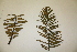  ( - PR744)  @11 [ ] Unspecified (default): All Rights Reserved  Unspecified Unspecified