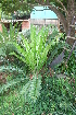  ( - PR745)  @11 [ ] Unspecified (default): All Rights Reserved  Unspecified Unspecified