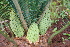  ( - PR766)  @11 [ ] Unspecified (default): All Rights Reserved  Unspecified Unspecified