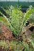  ( - PR774)  @11 [ ] Unspecified (default): All Rights Reserved  Unspecified Unspecified