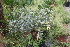  ( - PR777)  @11 [ ] Unspecified (default): All Rights Reserved  Unspecified Unspecified