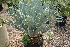  ( - PR780)  @11 [ ] Unspecified (default): All Rights Reserved  Unspecified Unspecified